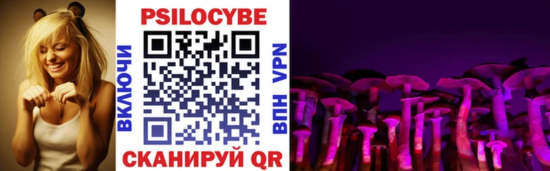 Галлюциногенные грибы мицелий  Купить закладки  Йошкар-Ола 