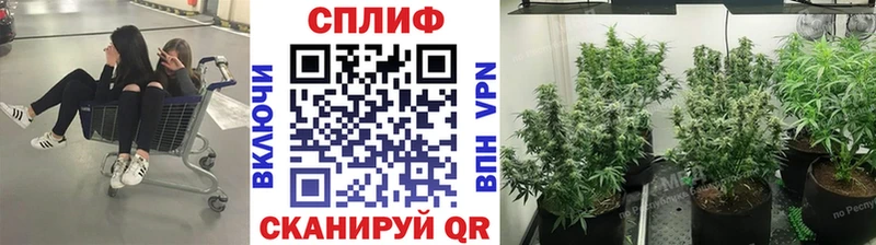 Купить где  Йошкар-Ола  Марихуана Ganja 